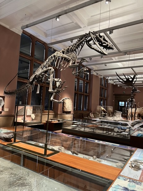 062E9ED1-EBD5-4E20-BB01-DACFDAB497D5_1_105_c