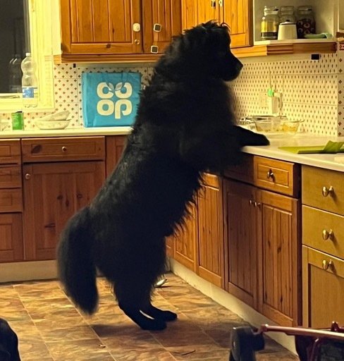 8d79f2f1-8052-4665-96ae-62a0b003adb2